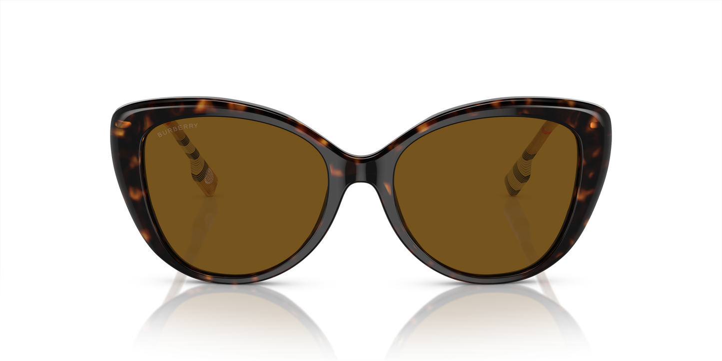 Burberry Sunglasses BE4407 385483