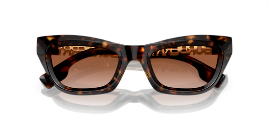 Burberry Sunglasses BE4409 300213