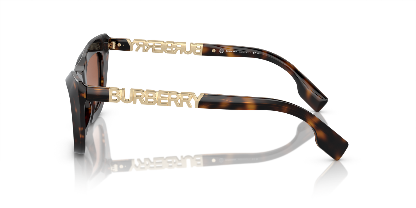 Burberry Sunglasses BE4409 300213