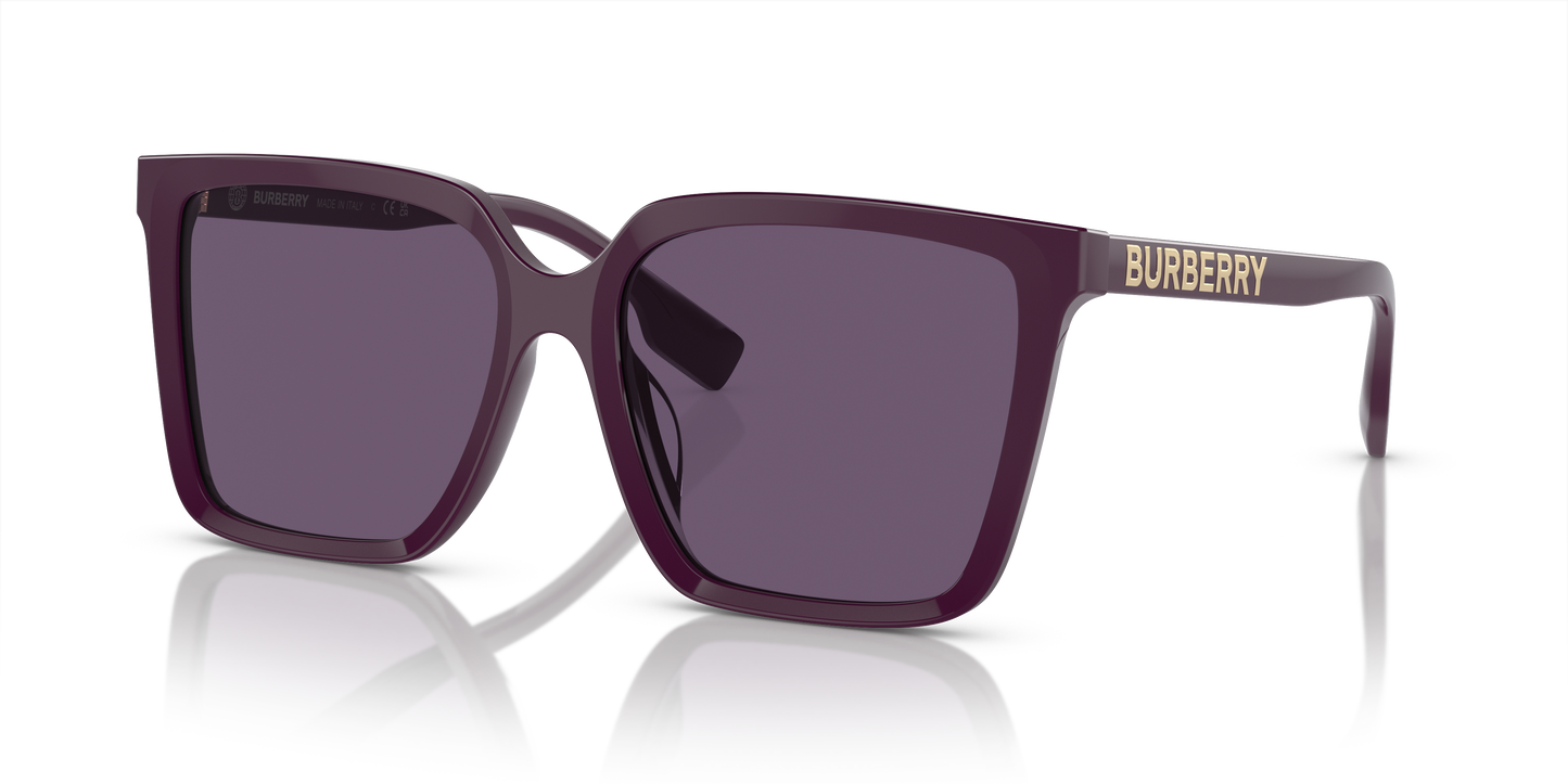 Burberry Sunglasses BE4411D 34001A