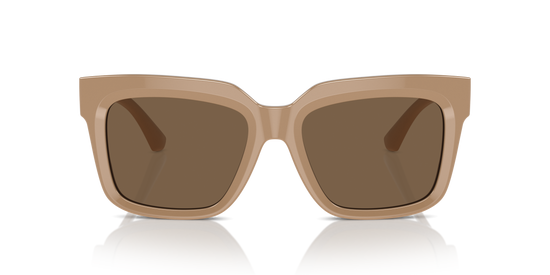 Burberry Sunglasses BE4419 399073