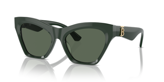Burberry Sunglasses BE4420U 403871