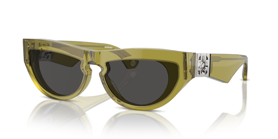 Burberry Sunglasses BE4422U 411887