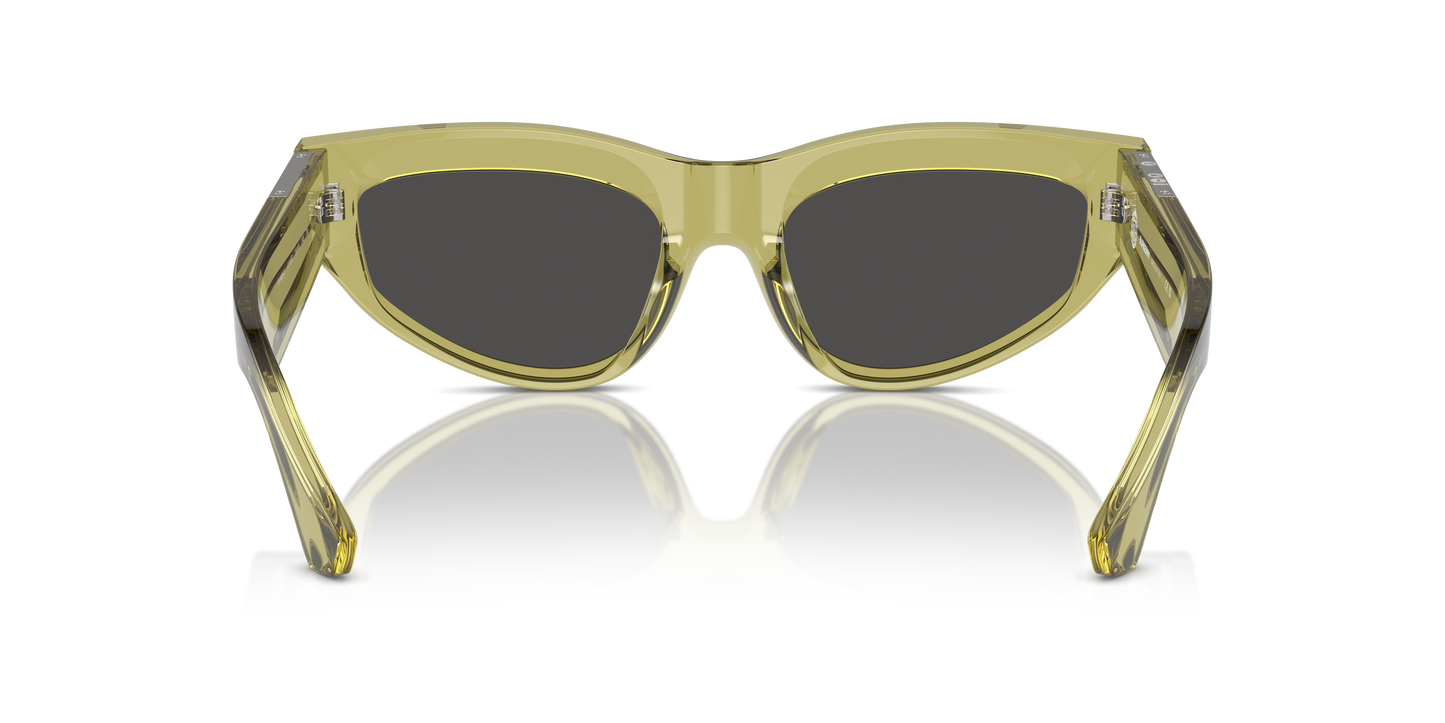Burberry Sunglasses BE4425U 411887