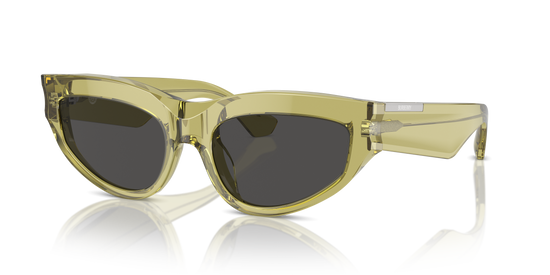 Burberry Sunglasses BE4425U 411887