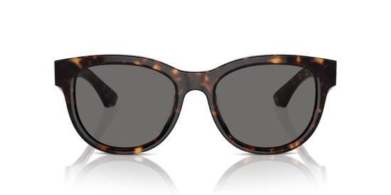 Burberry Sunglasses BE4432U 300281
