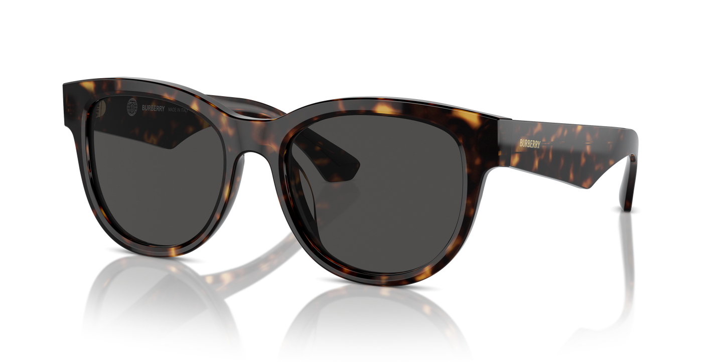 Burberry Sunglasses BE4432U 300287
