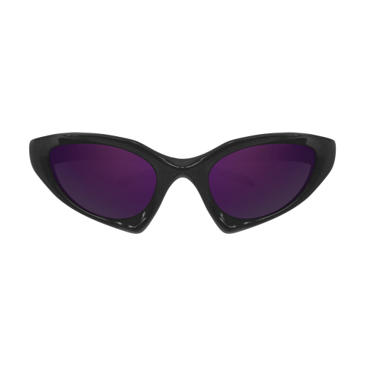 Balenciaga Sunglasses BB0352S 005