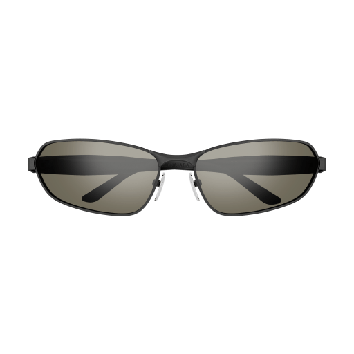 Balenciaga Sunglasses BB0355S 004