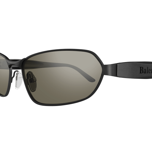 Balenciaga Sunglasses BB0355S 004