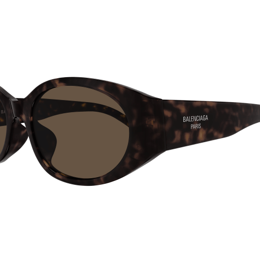 Balenciaga Sunglasses BB0369SK 002