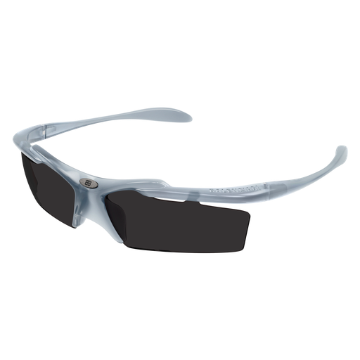 Balenciaga Sunglasses BB0420S 005