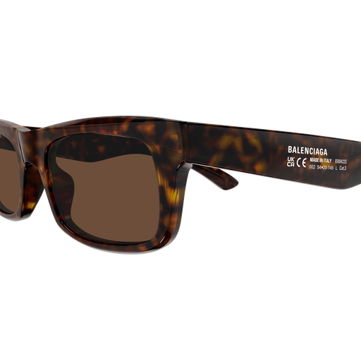 Balenciaga Sunglasses BB0422S 002