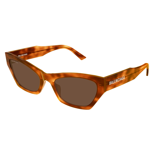 Balenciaga Sunglasses BB0447S 003