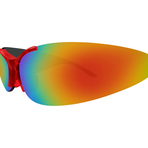 Balenciaga Sunglasses BB0454S 004