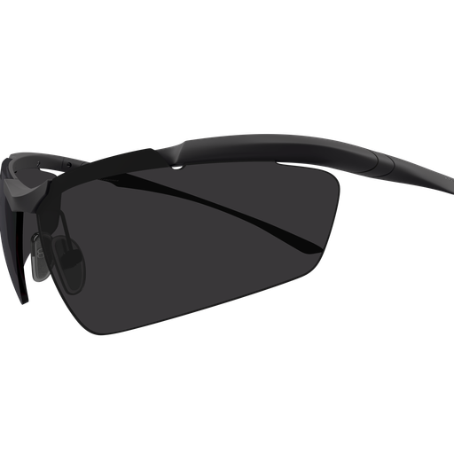 Balenciaga Sunglasses BB0462S 001