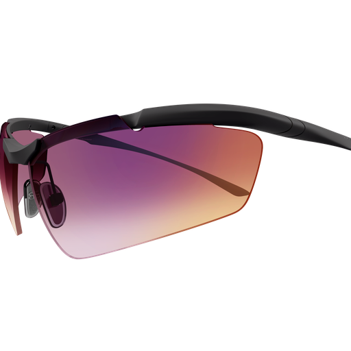 Balenciaga Sunglasses BB0462S 002