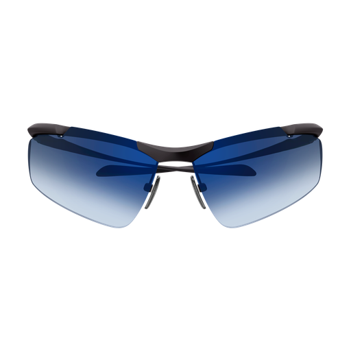 Balenciaga Sunglasses BB0462S 003