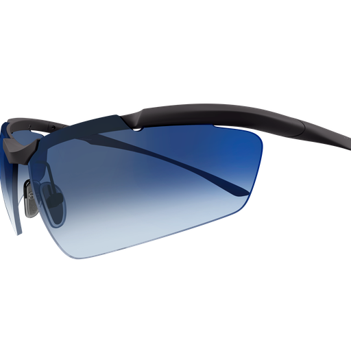 Balenciaga Sunglasses BB0462S 003