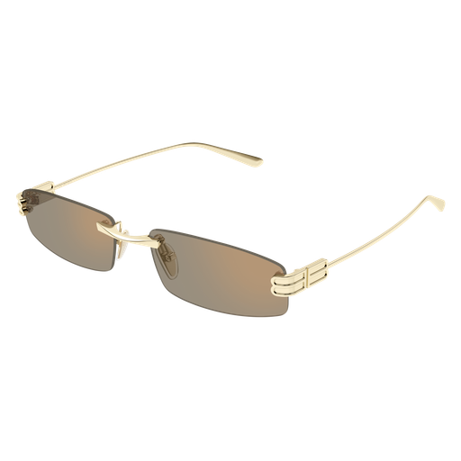 Balenciaga Sunglasses BB0488S 007