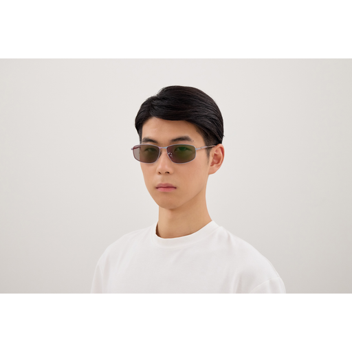 Balenciaga Sunglasses BB0494SA 005