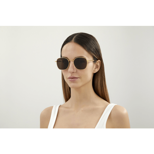 Bottega Veneta BV1014SK 003