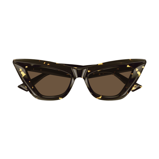 Bottega Veneta BV1101S 002