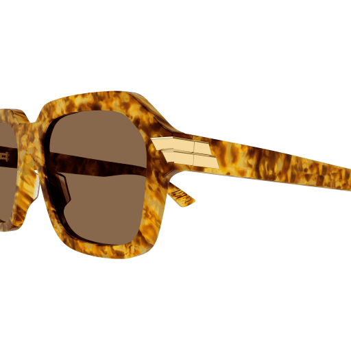 Bottega Veneta BV1123S 005