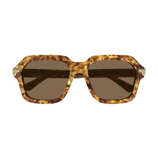 Bottega Veneta BV1123S 005