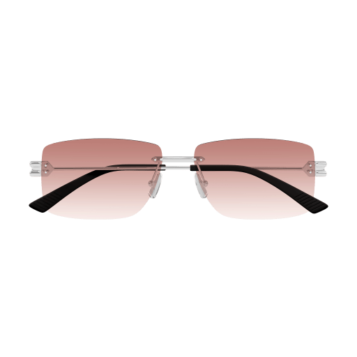 Bottega Veneta BV1126S 007