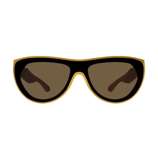 Bottega Veneta BV1234S 003