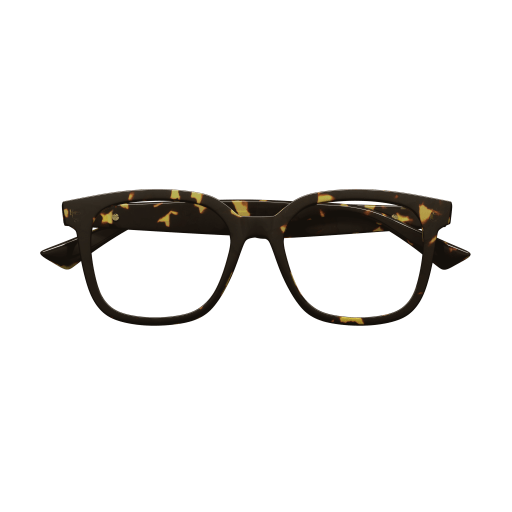 Bottega Veneta BV1334OA 002