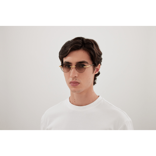 Bottega Veneta BV1379S 003