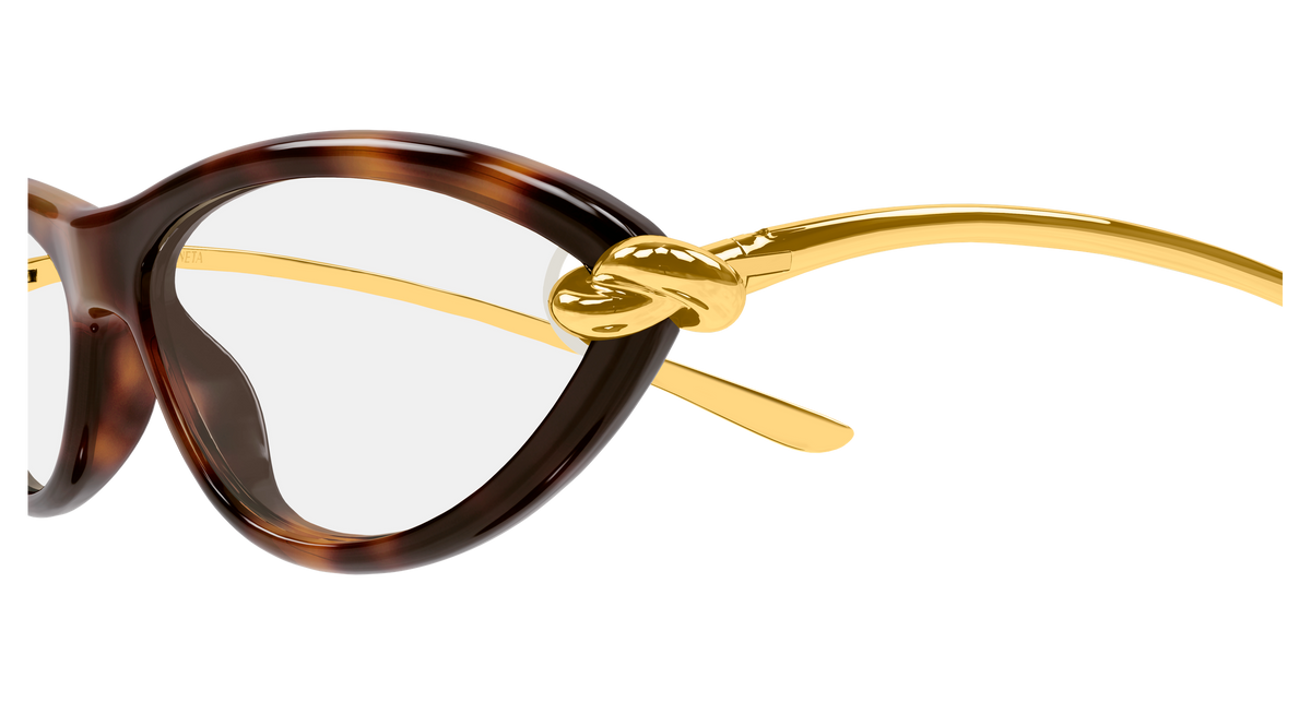 Bottega Veneta BV1390S 008