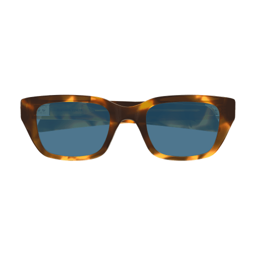 Bottega Veneta BV1393S 006