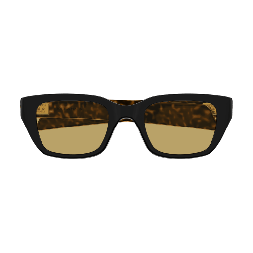 Bottega Veneta BV1393S 009