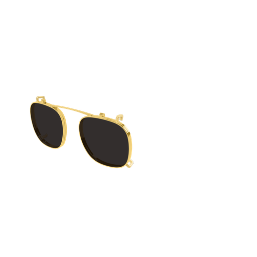 Bottega Veneta BV1429S 001