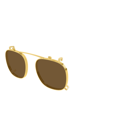 Bottega Veneta BV1429S 002