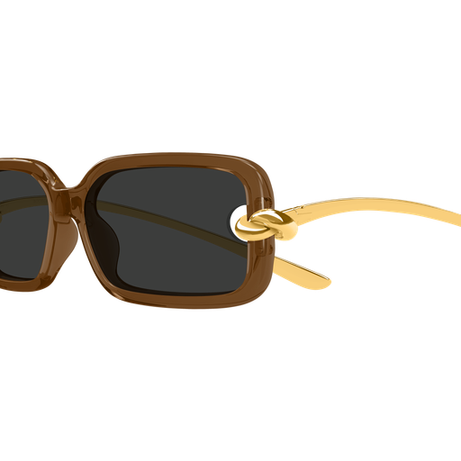 Bottega Veneta BV1439S 005