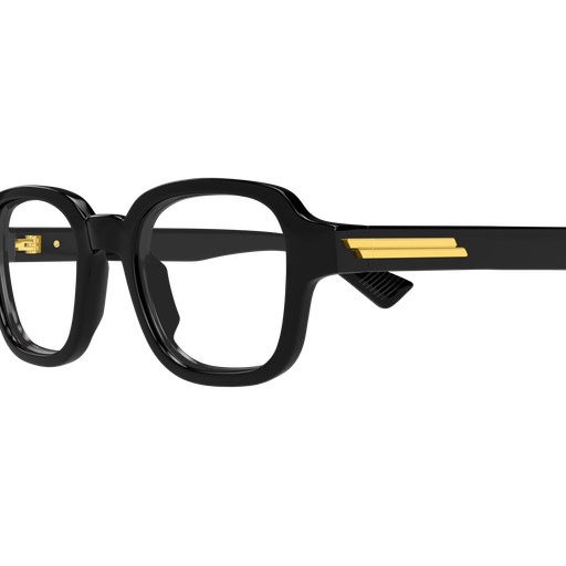 Bottega Veneta BV1462O 006