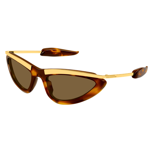Bottega Veneta BV1477S 003