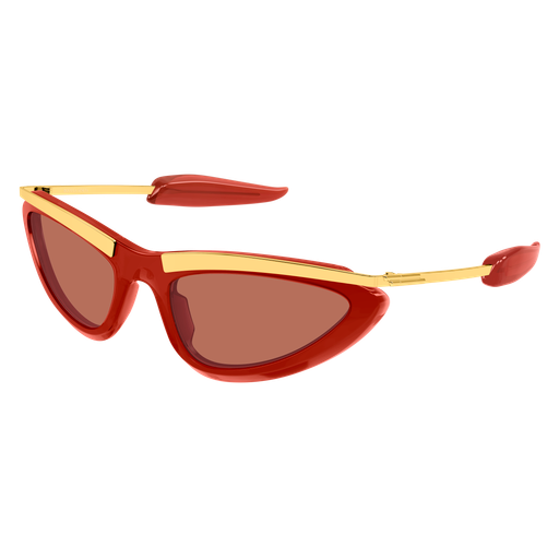 Bottega Veneta BV1477S 005