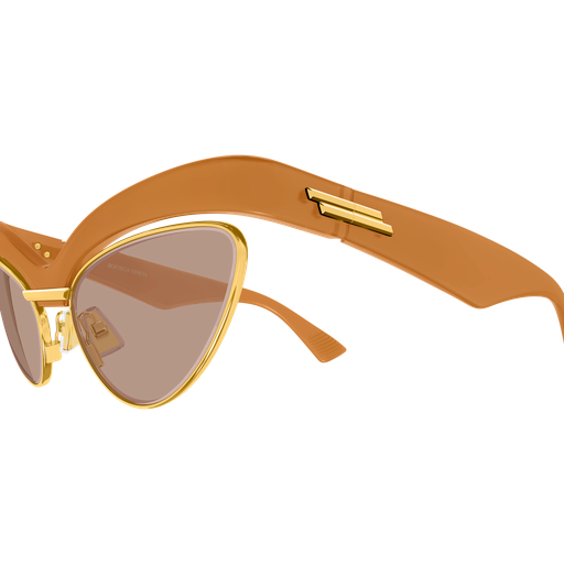 Bottega Veneta BV1480S 005