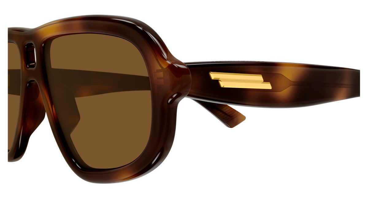 Bottega Veneta BV1494S 002