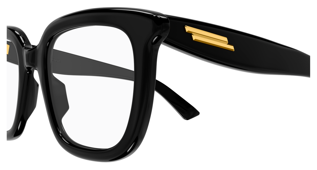 Bottega Veneta BV1496O 005