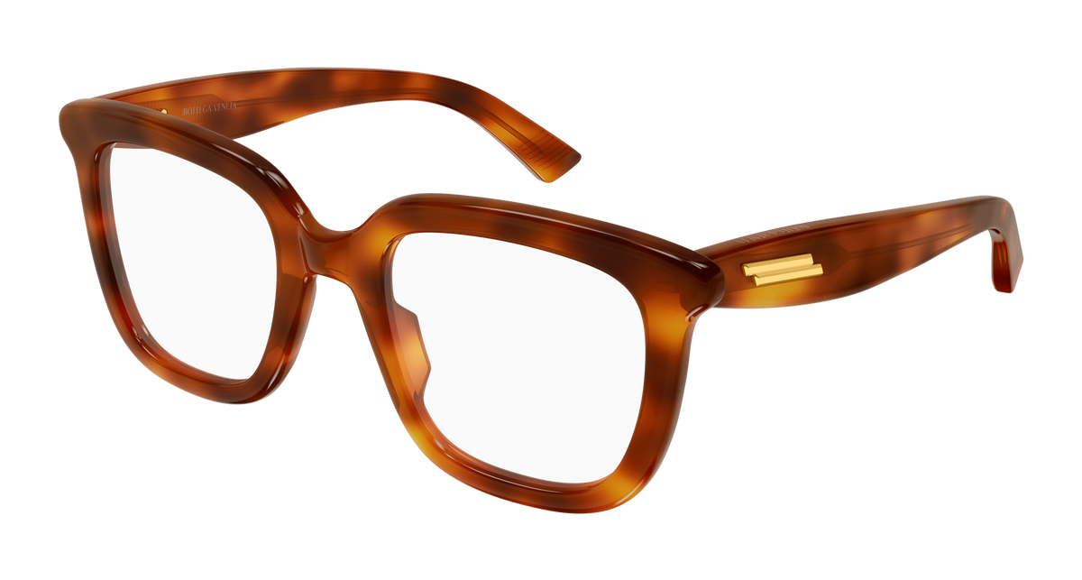 Bottega Veneta BV1496O 006