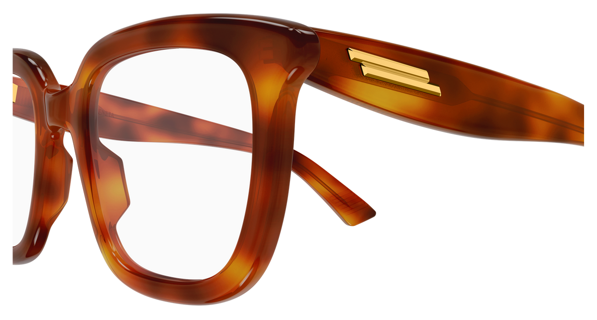 Bottega Veneta BV1496O 006