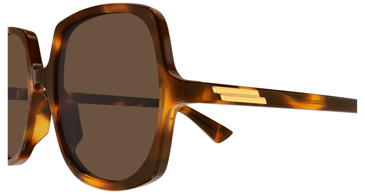 Bottega Veneta BV1498S 002
