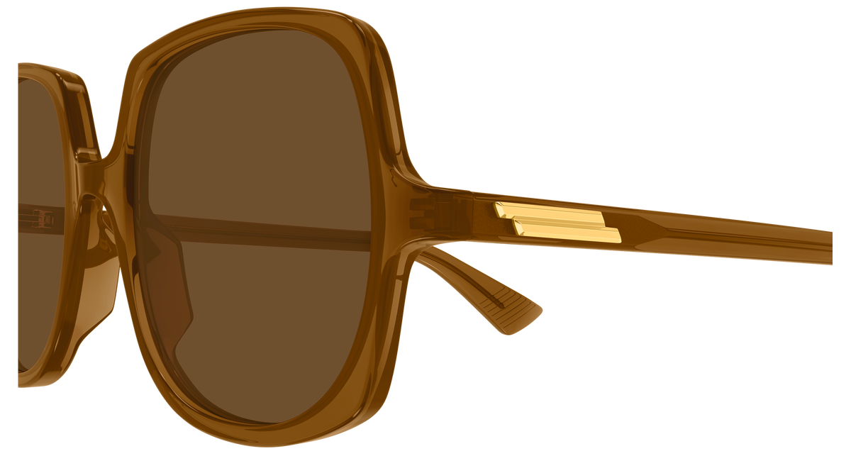Bottega Veneta BV1498S 003