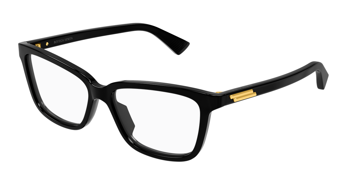 Bottega Veneta BV1499O 005